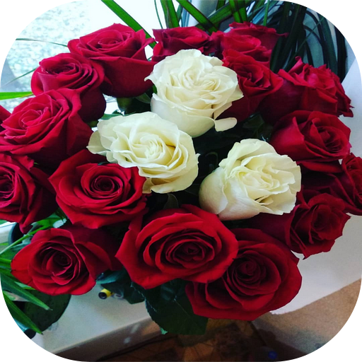3 رقم مجموعة الصور