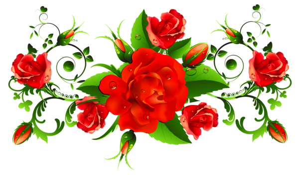3 رقم مجموعة الصور