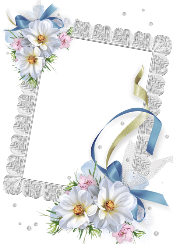 6 رقم مجموعة الصور