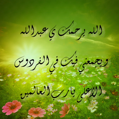10 رقم مجموعة الصور