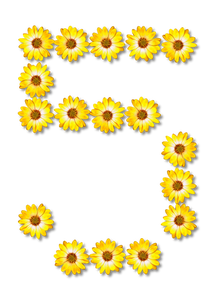 8 رقم مجموعة الصور