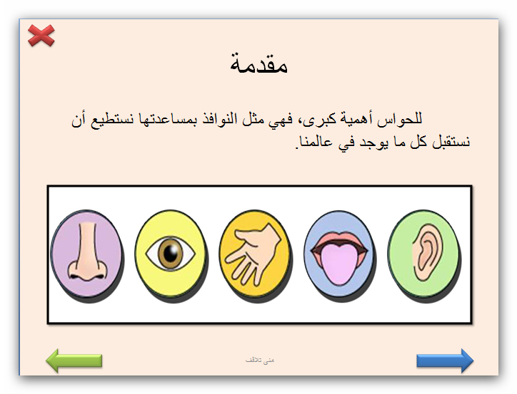 3 رقم مجموعة الصور