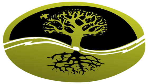 7 رقم مجموعة الصور