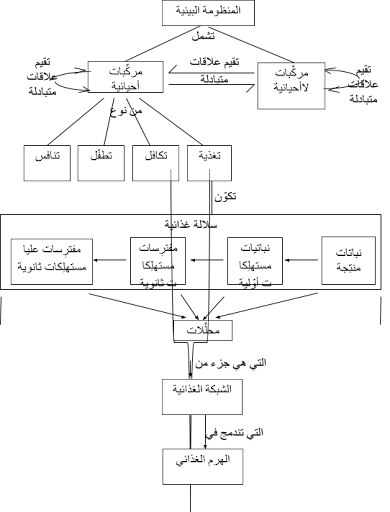 5 رقم مجموعة الصور
