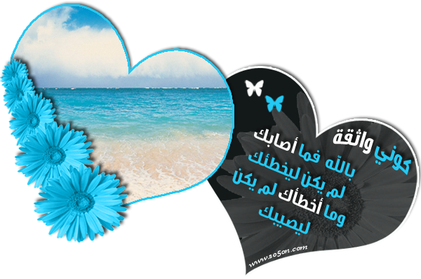 8 رقم مجموعة الصور