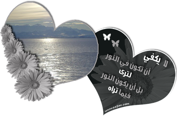 13 رقم مجموعة الصور