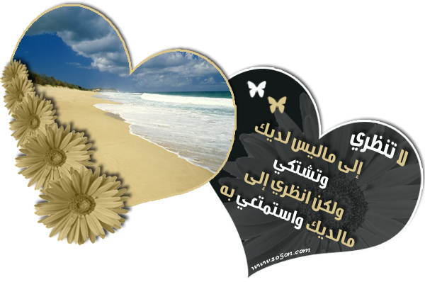 14 رقم مجموعة الصور