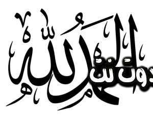 2 رقم مجموعة الصور