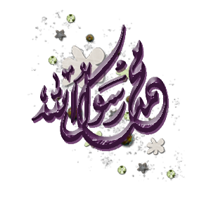 14 رقم مجموعة الصور