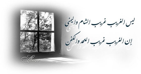10 رقم مجموعة الصور