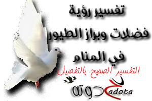 13 رقم مجموعة الصور