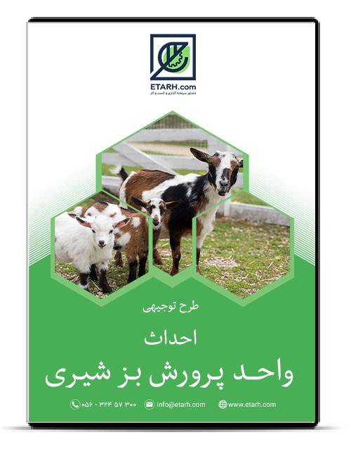 11 رقم مجموعة الصور
