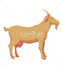 3 رقم مجموعة الصور