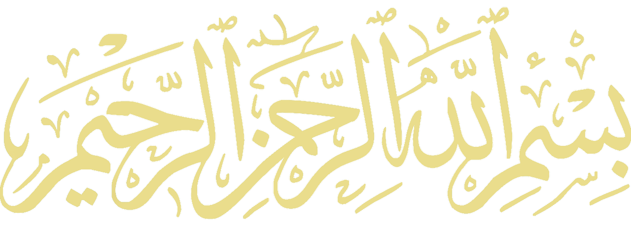 11 رقم مجموعة الصور