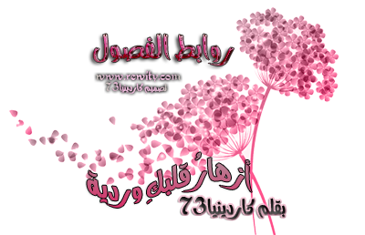 13 رقم مجموعة الصور