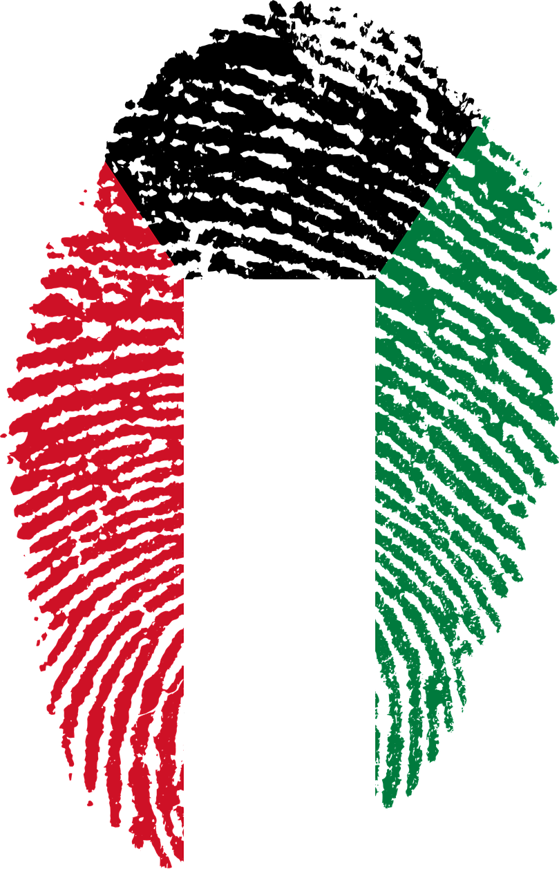 6 رقم مجموعة الصور