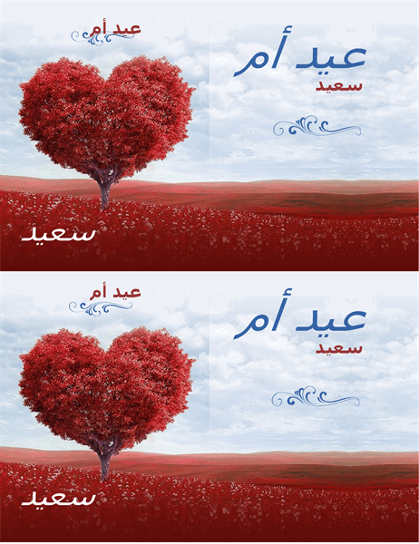 14 رقم مجموعة الصور