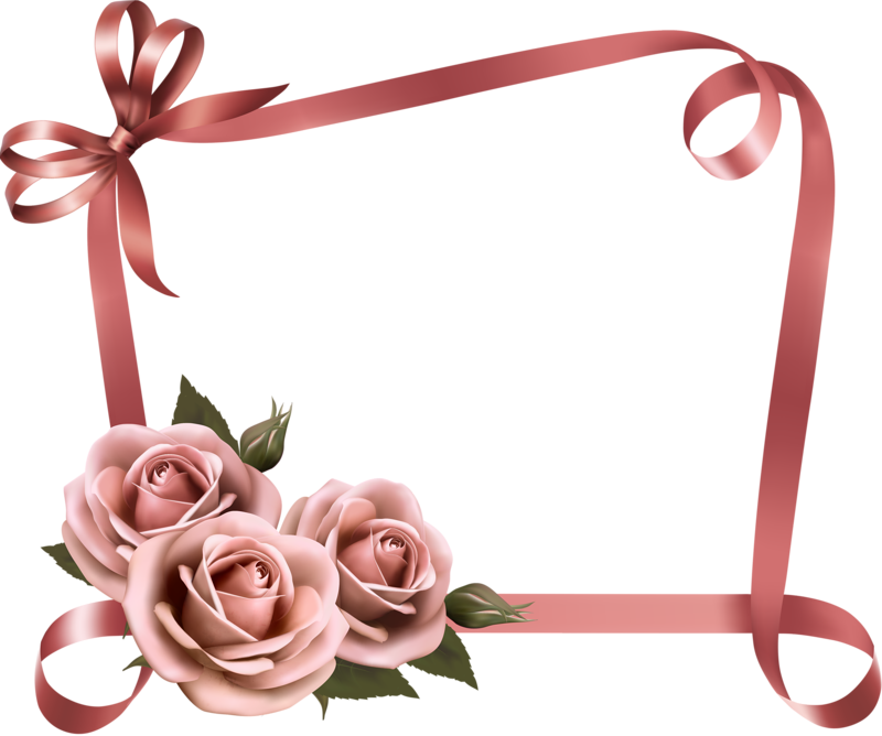 7 رقم مجموعة الصور