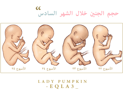 بطن البنت - KibrisPDR