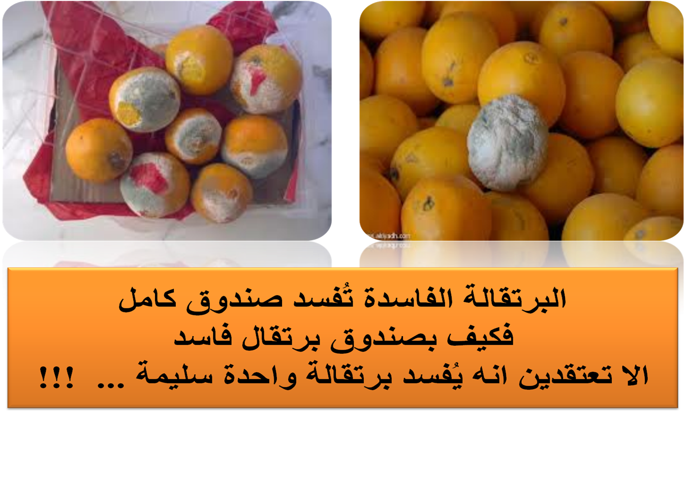 9 رقم مجموعة الصور