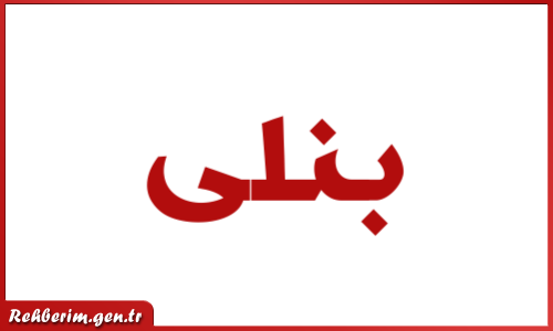 10 رقم مجموعة الصور
