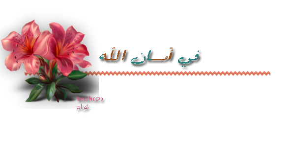 6 رقم مجموعة الصور