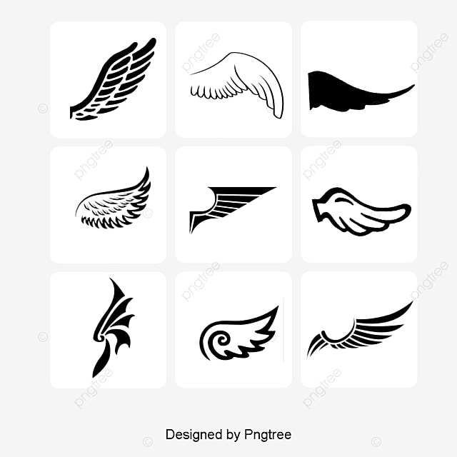 14 رقم مجموعة الصور