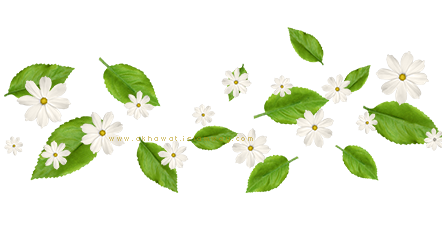 17 رقم مجموعة الصور