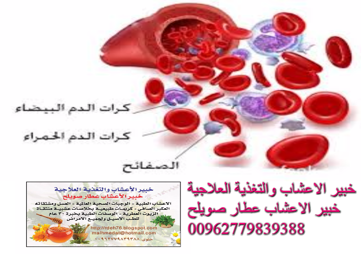 15 رقم مجموعة الصور