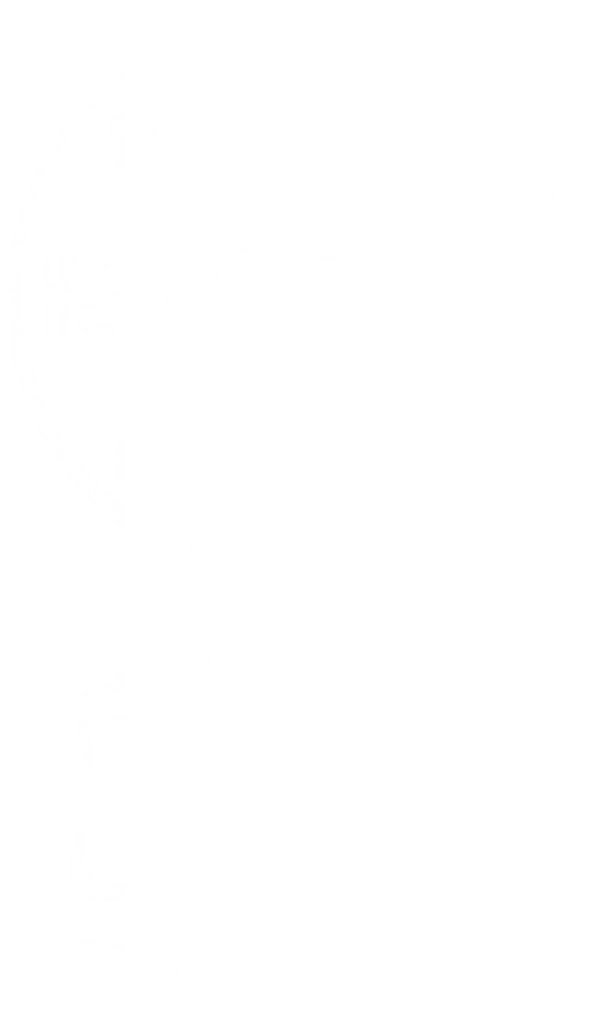 12 رقم مجموعة الصور