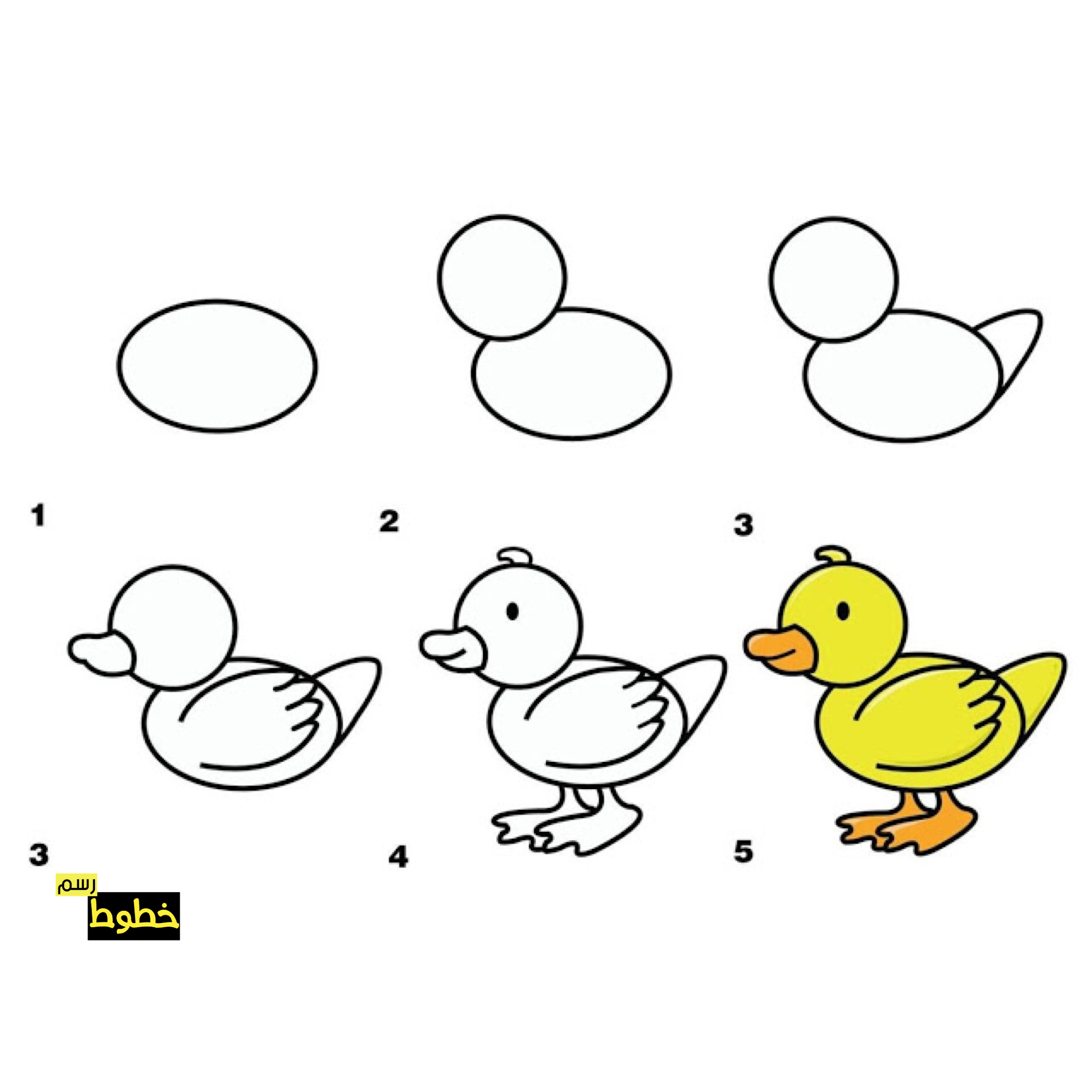 7 رقم مجموعة الصور