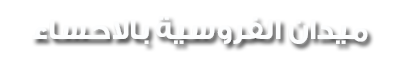 14 رقم مجموعة الصور