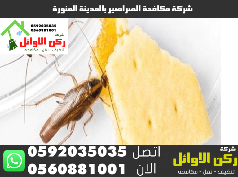 9 رقم مجموعة الصور