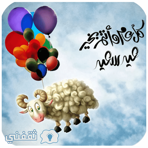 12 رقم مجموعة الصور
