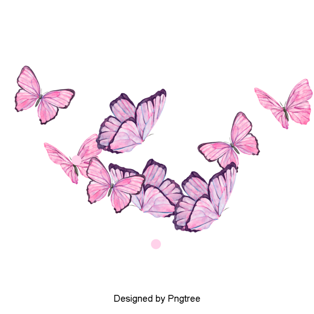 تصميم فراشة - KibrisPDR