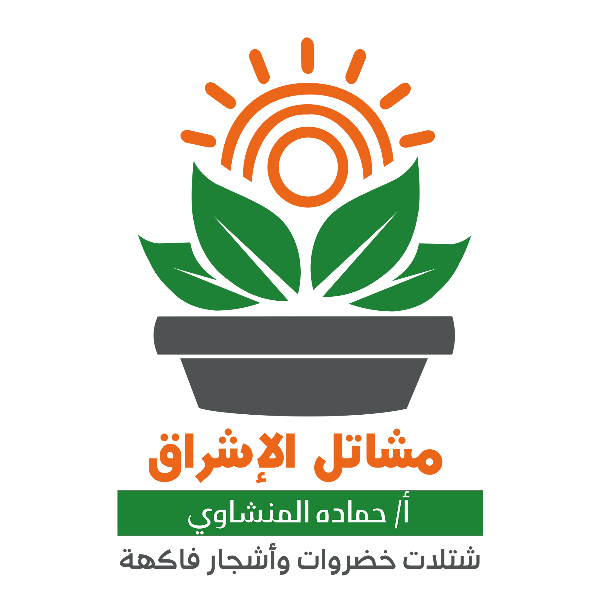 11 رقم مجموعة الصور