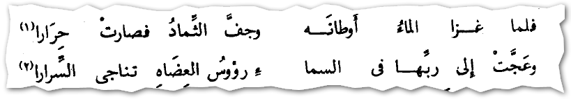 10 رقم مجموعة الصور