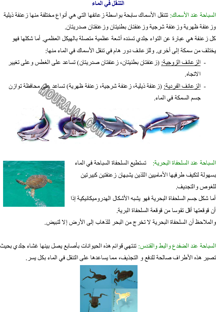 7 رقم مجموعة الصور