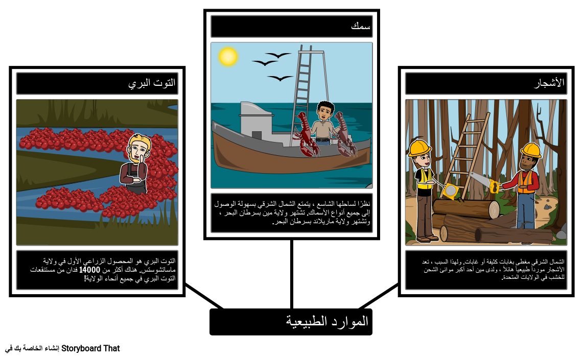 4 رقم مجموعة الصور
