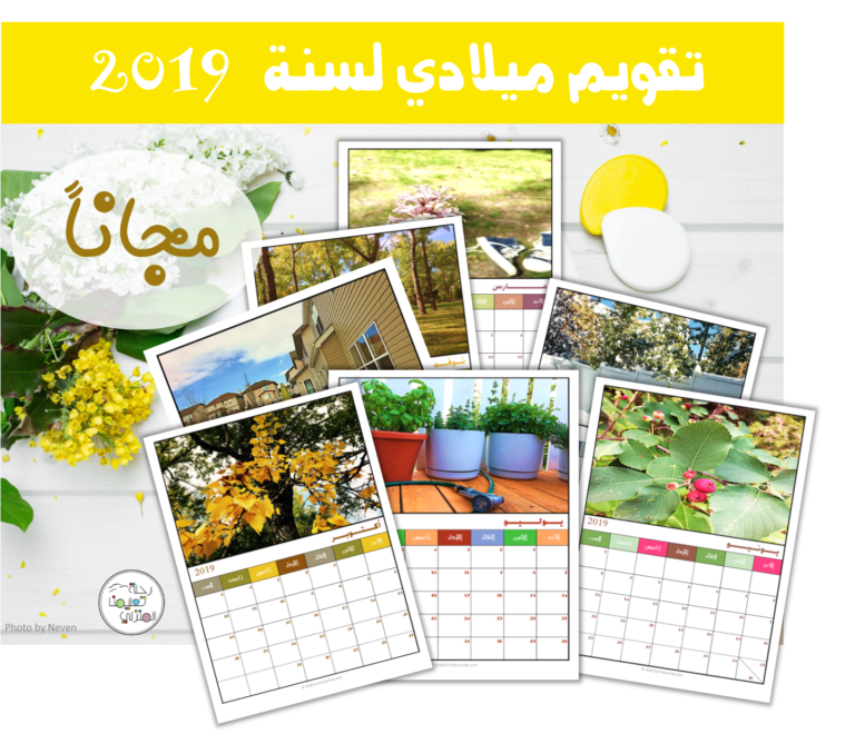 16 رقم مجموعة الصور