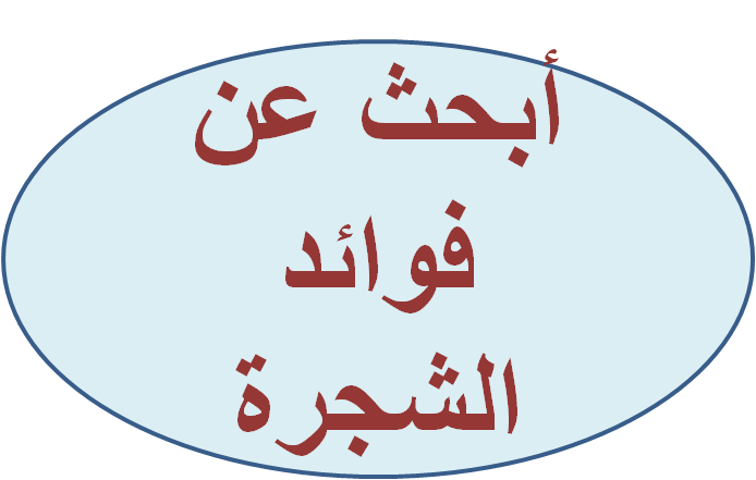 4 رقم مجموعة الصور