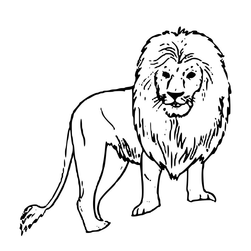 تلوين اسد - KibrisPDR