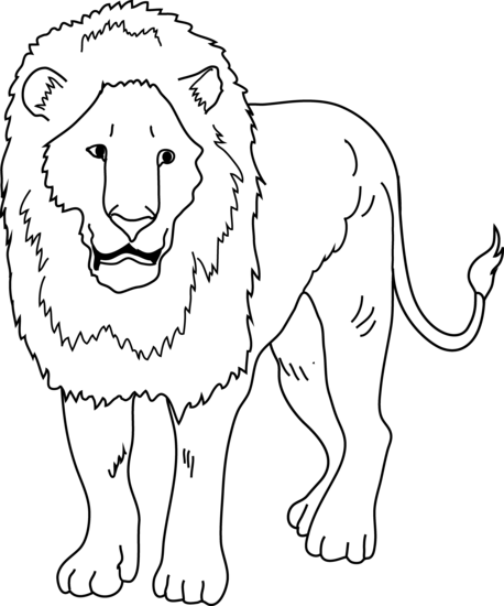 3 رقم مجموعة الصور