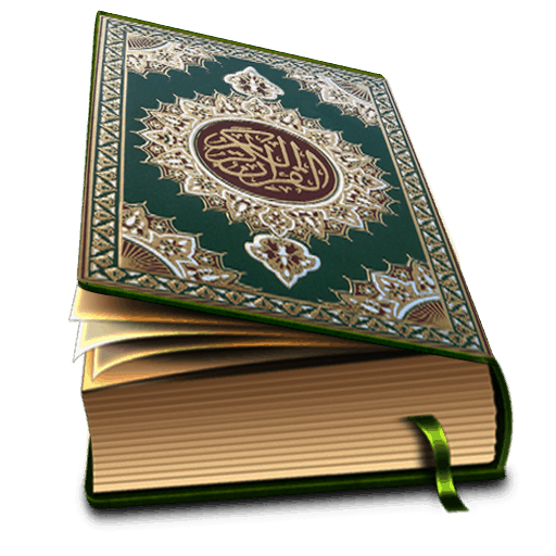 7 رقم مجموعة الصور