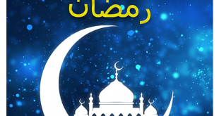 7 رقم مجموعة الصور
