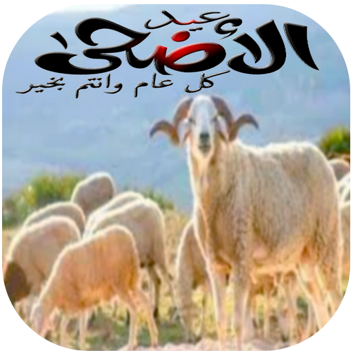 6 رقم مجموعة الصور