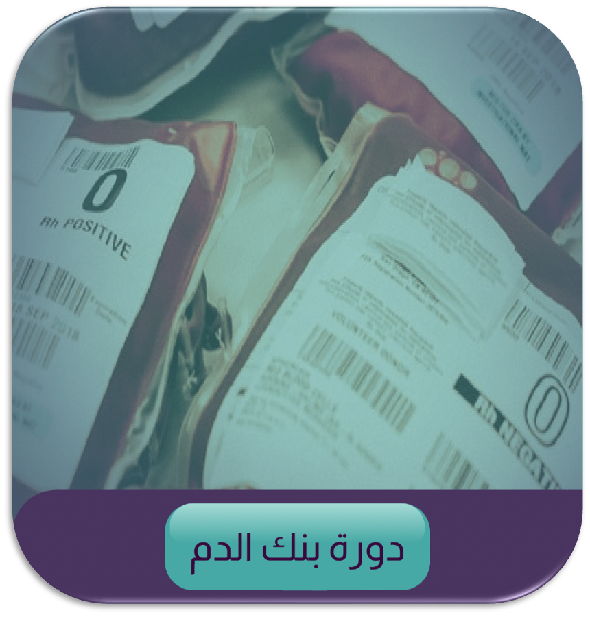 13 رقم مجموعة الصور