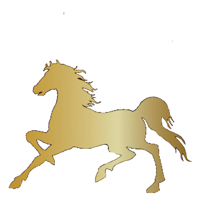 ثيم خيل - KibrisPDR