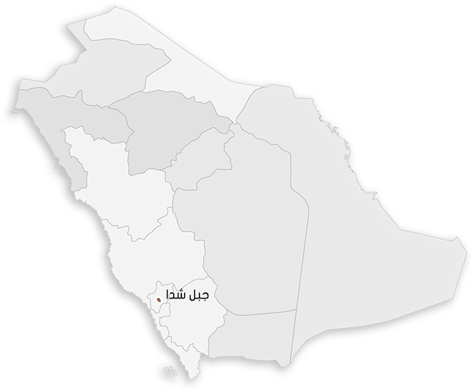 10 رقم مجموعة الصور