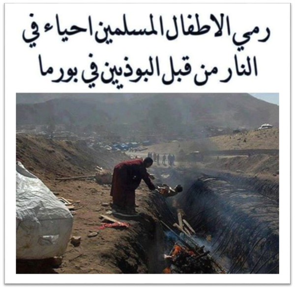 5 رقم مجموعة الصور